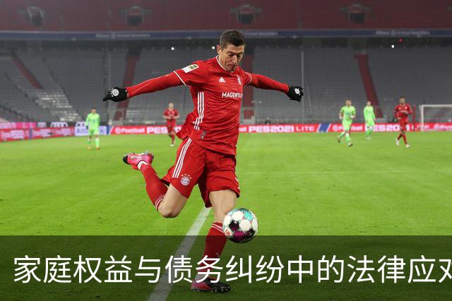 家庭权益与债务纠纷中的法律应对研究