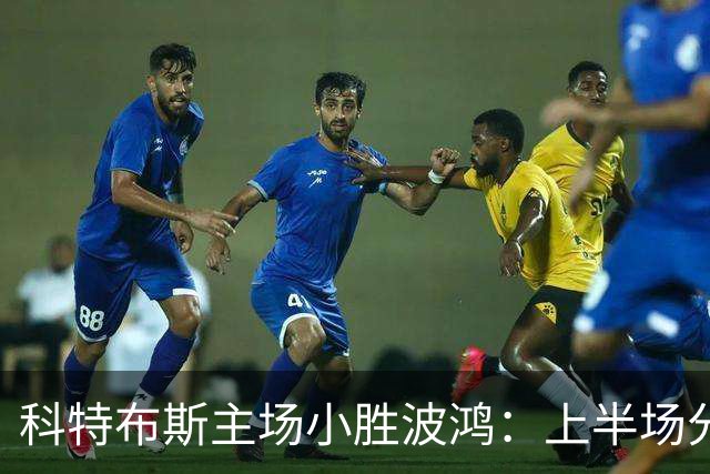 科特布斯主场小胜波鸿：上半场分析